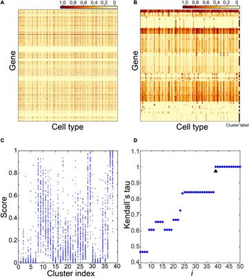 Using Cell Type–Specific Genes to Identify Cell-Type Transitions Between Different in vitro Culture Conditions